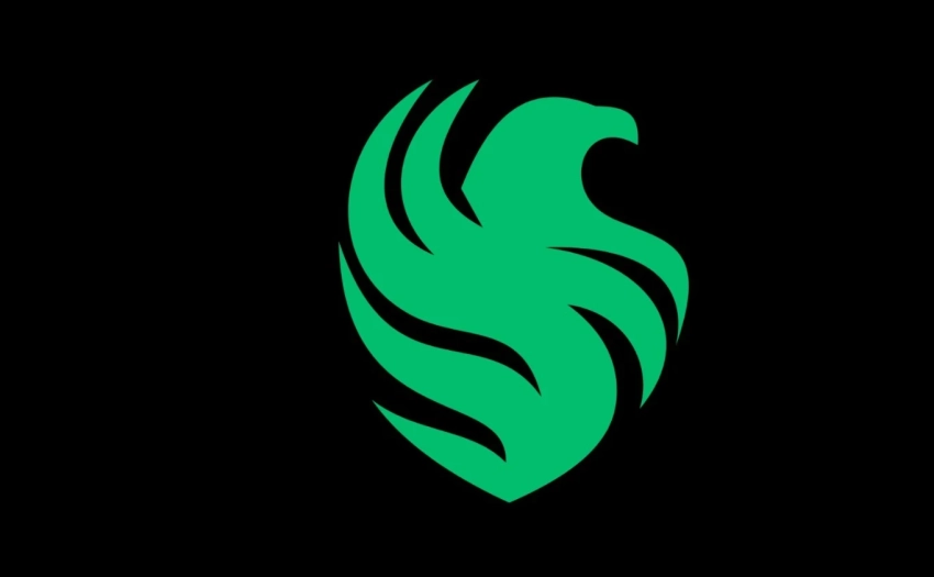 Владелец Team Falcons по Dota 2 раскрыл проблемы состава